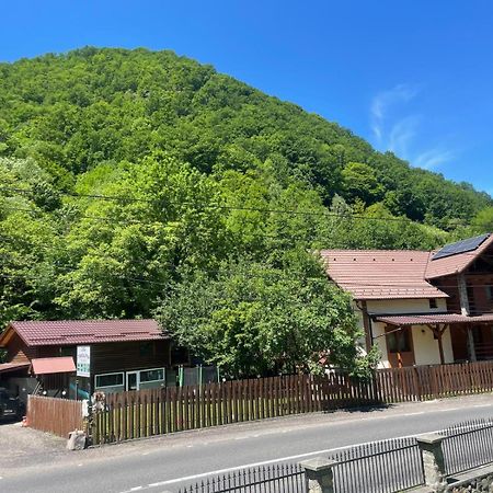 Pensiunea Casa Transalpina Şugag Exterior foto
