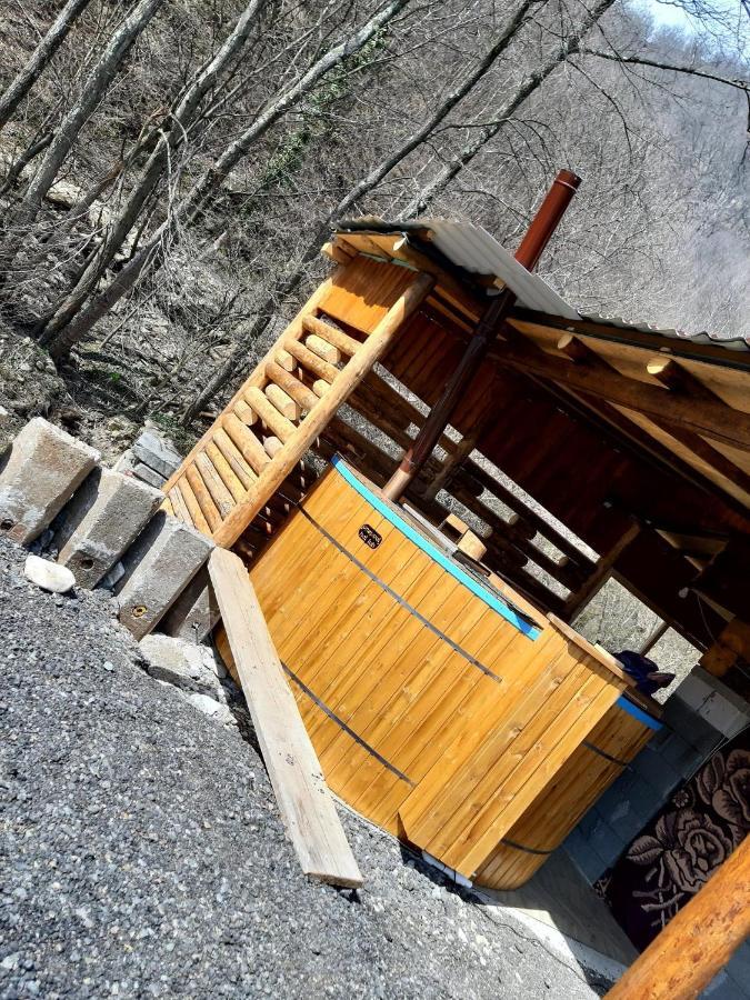 Pensiunea Casa Transalpina Şugag Exterior foto