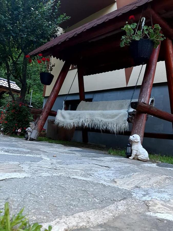Pensiunea Casa Transalpina Şugag Exterior foto
