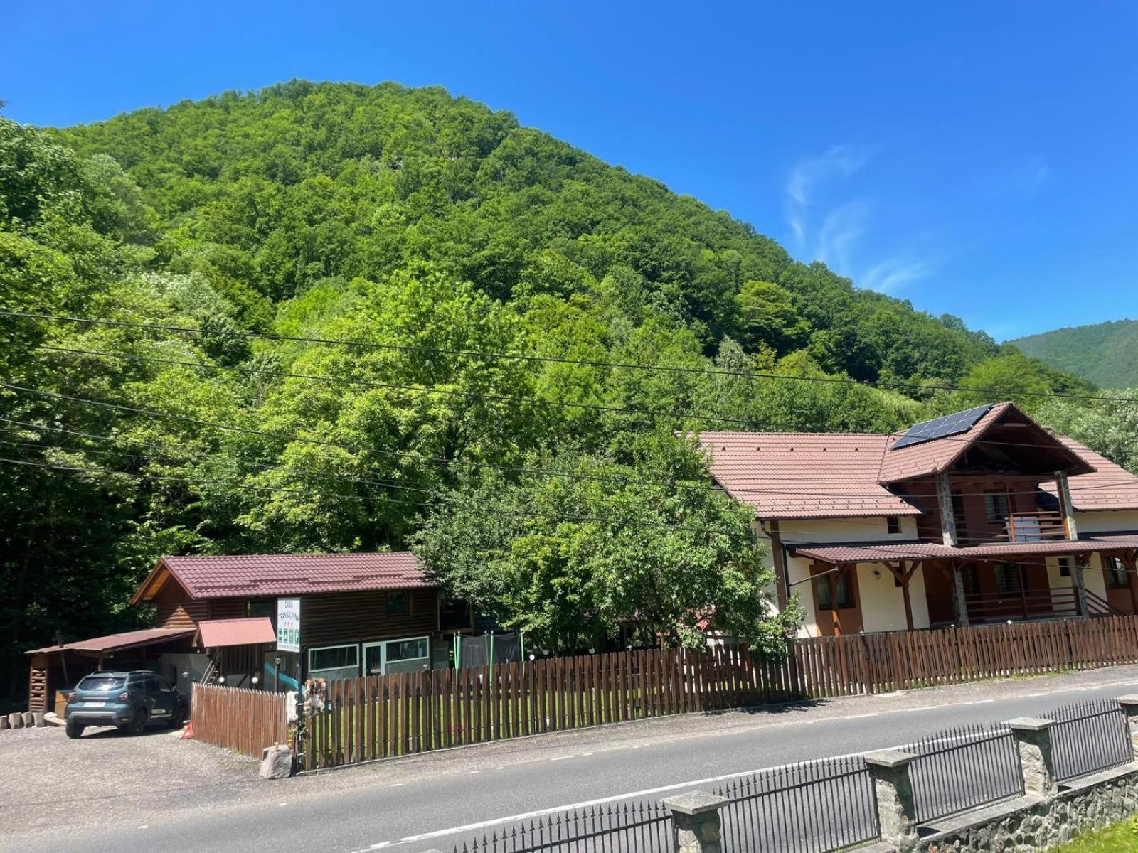 Pensiunea Casa Transalpina Şugag Exterior foto