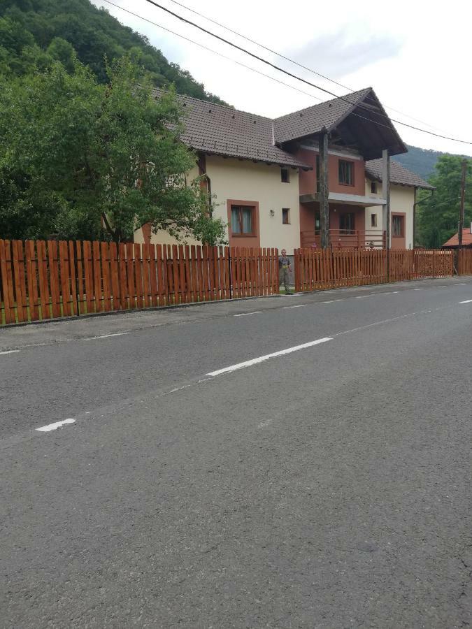 Pensiunea Casa Transalpina Şugag Exterior foto