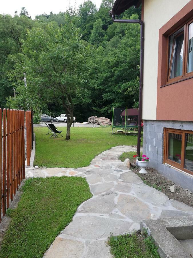Pensiunea Casa Transalpina Şugag Exterior foto
