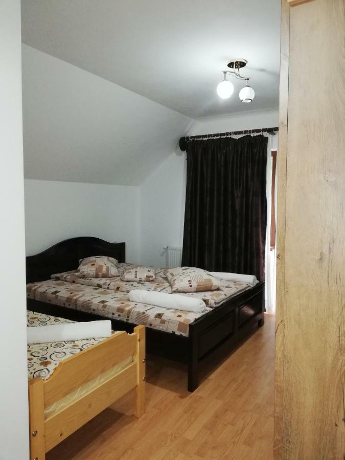 Pensiunea Casa Transalpina Şugag Exterior foto